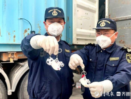 青龙跨境翻译好用吗？用户评价