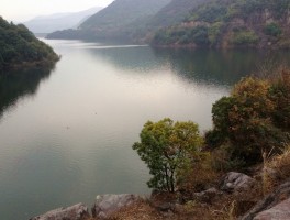 紫鸟浏览器多账号浏览器是否稳定