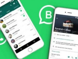 SaleSmartly：商务合作，携手共进