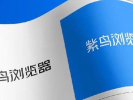 紫鸟浏览器跨境电商工具靠谱吗