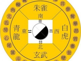 TranGPT社交管理登录入口