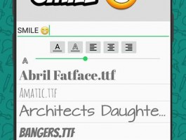 WhatsApp安卓下载安装最新版whatsapp安卓下载安装最新版本
