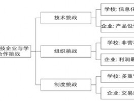 针对特定平台精细化运营。