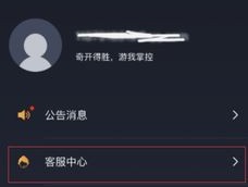 HelloWorld客服翻译优缺点分析