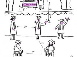 ChatKnow多语言翻译真实测评