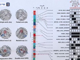 虚拟机 vs 指纹浏览器：哪个防关联效果更好？