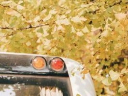 ChatKnow和HelloWorld哪个好？聊天翻译对比