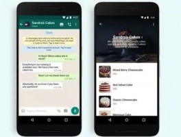 whatsapp business 安卓下载