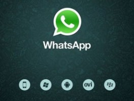 whatsapp官网免费正版下载
