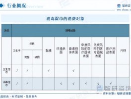 001ws翻译软件真的能实时翻译吗
