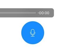 Google Voice 多开下载指南