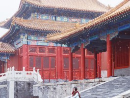 译达通支持多语言翻译吗