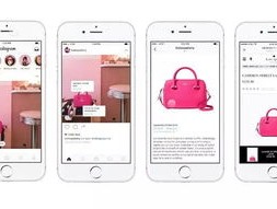 P1 指纹浏览器指纹检测通过率如何？