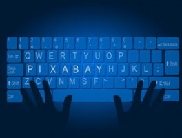 深圳一沙滩海鲜“上岸” 游客捡百斤