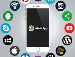 Whatapp怎么用
