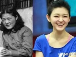 海王翻译软件出海软件破解版安全吗