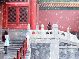 HelloWorld客服翻译使用教程