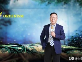 001多开功能真的能实时翻译吗