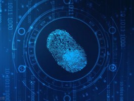 HellowordTelegram翻译真实测评