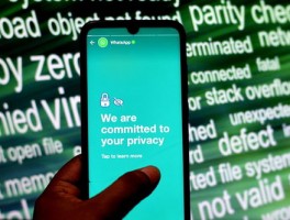 whatsapp收不到图片