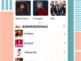 Google Voice 多开服务下载