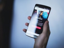 Wish店铺防关联：指纹浏览器设置技巧