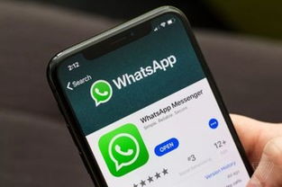 whatsapp如何在国内登录 whatsapp如何在国内登录
