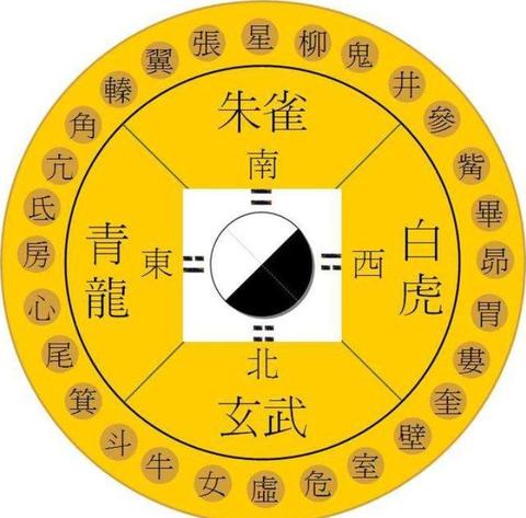TranGPT社交管理登录入口