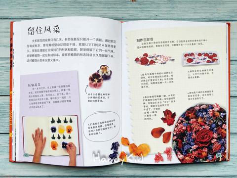 易翻译聊天官网下载地址 易翻译聊天官网下载地址